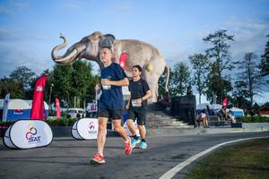 BIB: 
                            <button type="button" onclick="openModal(26541904)" class="btn btn-primary btn-sm float-right btn-popup" data-toggle="modal" data-target=".modal-high-quality">
                        <i class="fas fa-shopping-cart"></i> Add to Cart
                    </button>
                                            <button type="button" onclick="isThisMe(26541904, true)" class="btn btn-success btn-sm float-right btn-popup btn-isme hidden" data-toggle="tooltip" data-placement="bottom" title="นี่คือรูปของคุณใช่ไหม คลิกที่นี่เพื่อเอาเข้าอัลบั้ม">
                        <i class="fas fa-plus"></i> Add to album
                    </button>
                    <button type="button" onclick="isThisMe(26541904, false)" class="btn btn-warning btn-sm float-right btn-popup btn-isnotme hidden">
                        <i class="fas fa-ban"></i> Remove from album
                    </button>